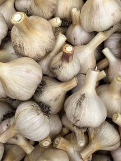 garlic box.jpeg
