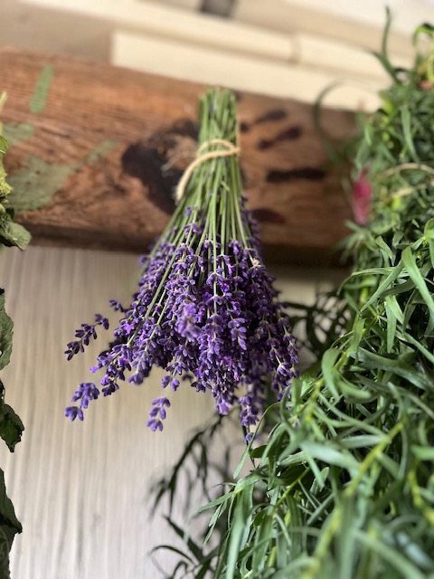 lavendar.jpg