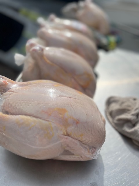 meat chicken2.jpg